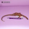 CollectA 88911 - Dinozaur Brontozaur zwłoki