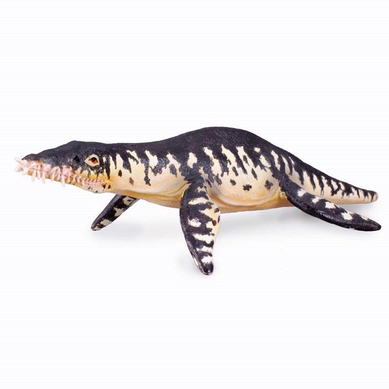 CollectA 88237 - Dinozaur Lipleurodon