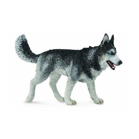 CollectA 88707 - Husky syberyjski pies
