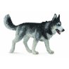 CollectA 88707 - Husky syberyjski pies