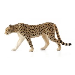 Mojo 387197 - Gepard grzywiasty samiec