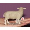 Schleich 13283 - Owca stojąca