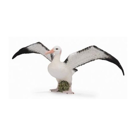 CollectA 88765 - Albatros wędrowny