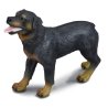 CollectA 88189 - Rottweiler pies