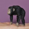 CollectA 88493 - Szympans samica