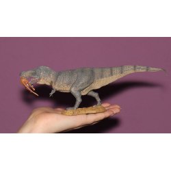 CollectA 88573 - Dinozaur Tyranozaur Rex z ofiarą