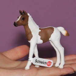 Schleich 13839 - Koń Pintabian źrebię