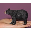 CollectA 88698 - Niedźwiedź czarny baribal