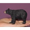 CollectA 88698 - Niedźwiedź czarny baribal
