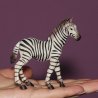 CollectA 88168 - Zebra stepowa źrebię