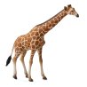 CollectA 88534 - Żyrafa siatkowana somalijska samiec