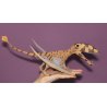 CollectA 88798 - Dinozaur Dimorfodon Deluxe
