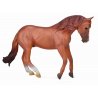 CollectA 88712 - Ogier Australian Stock Horse kasztanowaty
