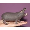 CollectA 88833 - Hipopotam nilowy