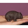 CollectA 88759 - Wombat samica z młodym