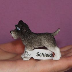 Schleich 13892 - Pies sznaucer miniaturowy suka