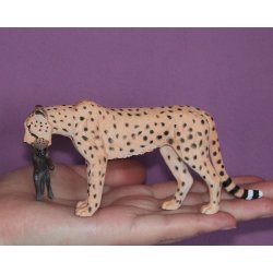 Mojo 387167 - Gepard grzywiasty samica z młodym