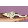 CollectA 88498 - Irbis śnieżny leopard młody biegnący