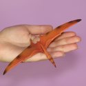 CollectA 88039 - Pteranodon