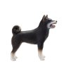Mojo 387363 - Pies rasy Shiba Inu czarny