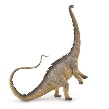 CollectA 88896 - Dinozaur Diplodok szary