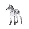 Mojo 387394 - Zebra źrebię