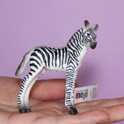 Mojo 387394 - Zebra źrebię