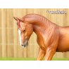 CollectA 88712 - Ogier Australian Stock Horse kasztanowaty