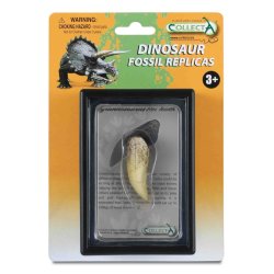 CollectA 89281 - Tyranozaur Rex ząb replika gablota