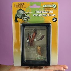 CollectA 89289 - Tyranozaur Rex szpon i kości dłoni replika gablota
