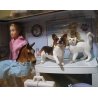 Breyer Classics 61036 - Lecznica dla zwierząt - lalka i zwierzaki