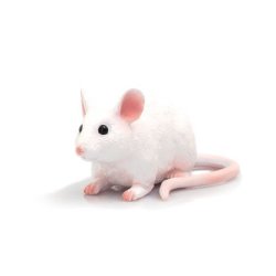 Mojo 387235 - Mysz biała
