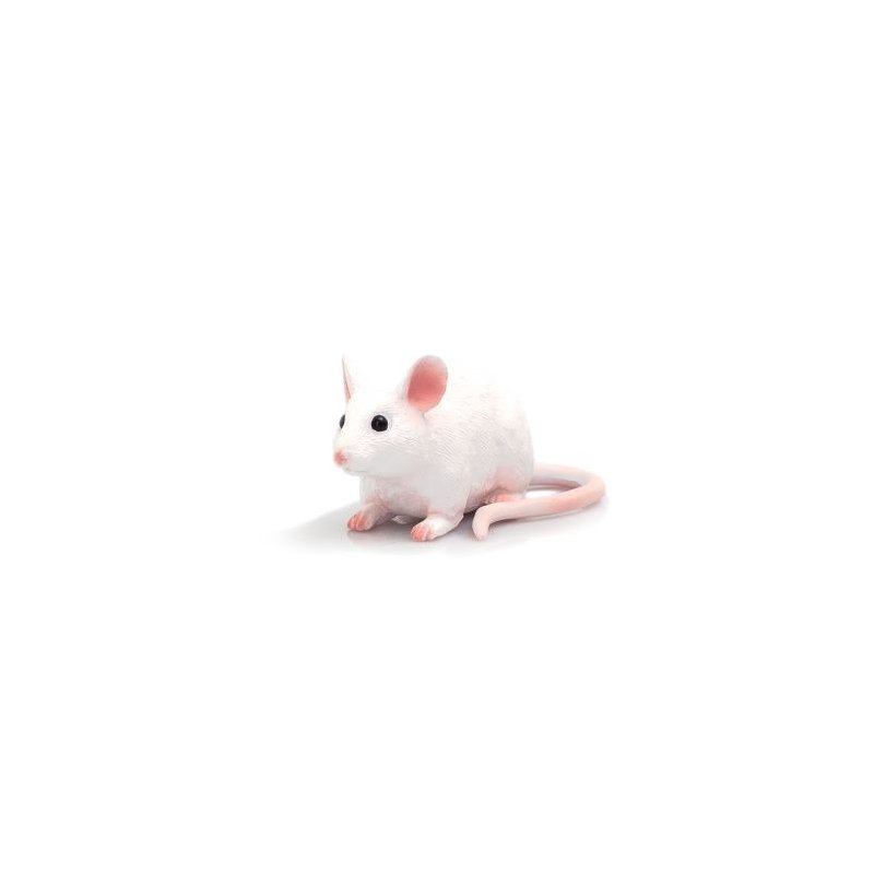 Mojo 387235 - Mysz biała