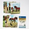CollectA 84178 - Kalendarz adwentowy konie farma