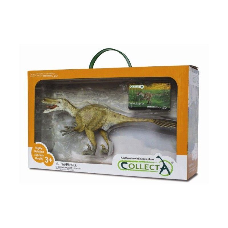 CollectA 88407 - Dinozaur Velociraptor Deluxe 1:6