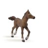 Papo 51076 - Koń angloarabski źrebię
