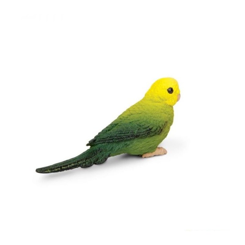 Safari Ltd 150429 - Papużka falista zielona