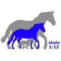 Breyer Classics 6181 - Koń Black Stallion z książką