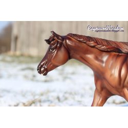 Breyer Traditional 1737 - Dont Look Twice
